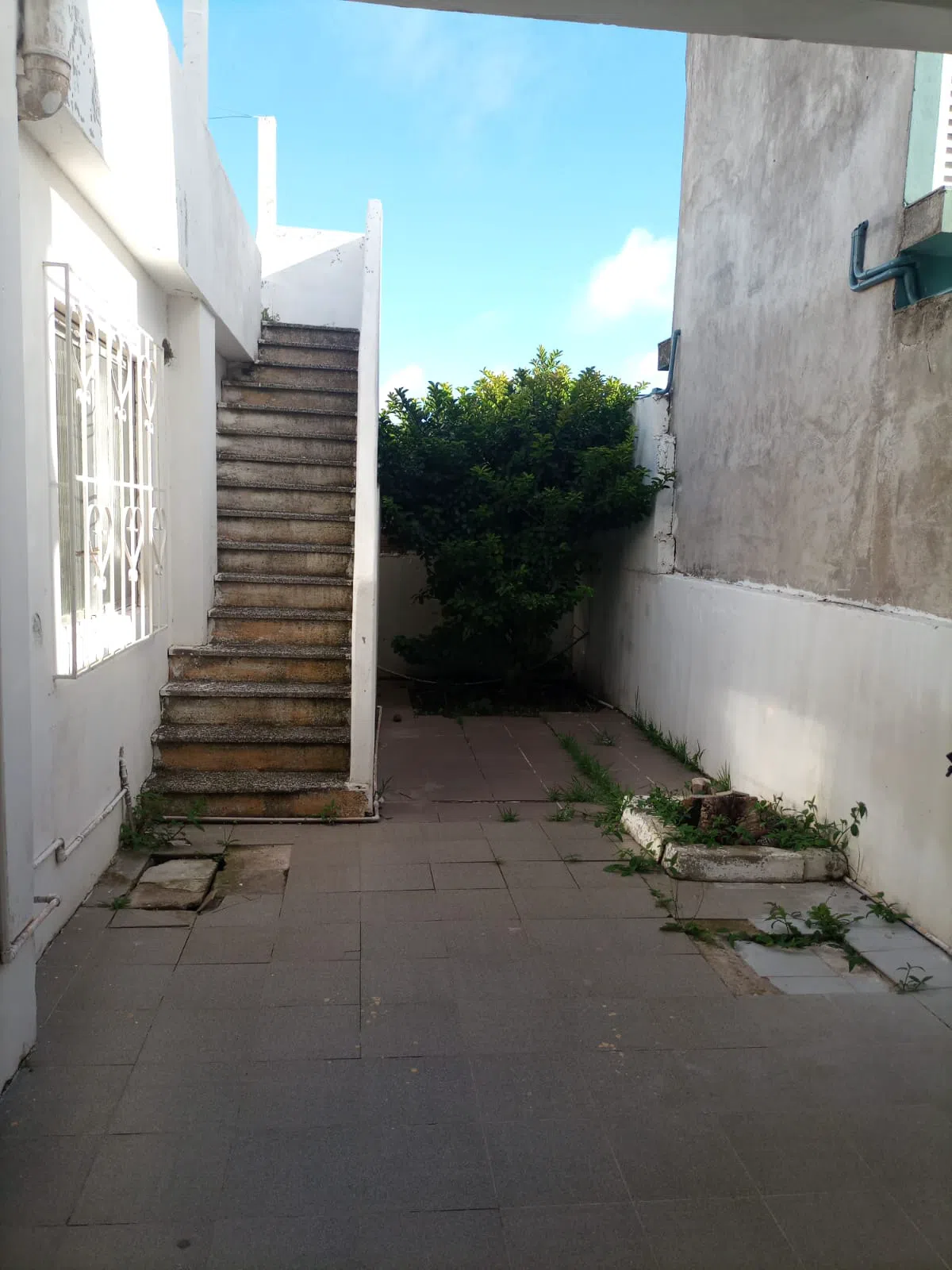 Foto 16