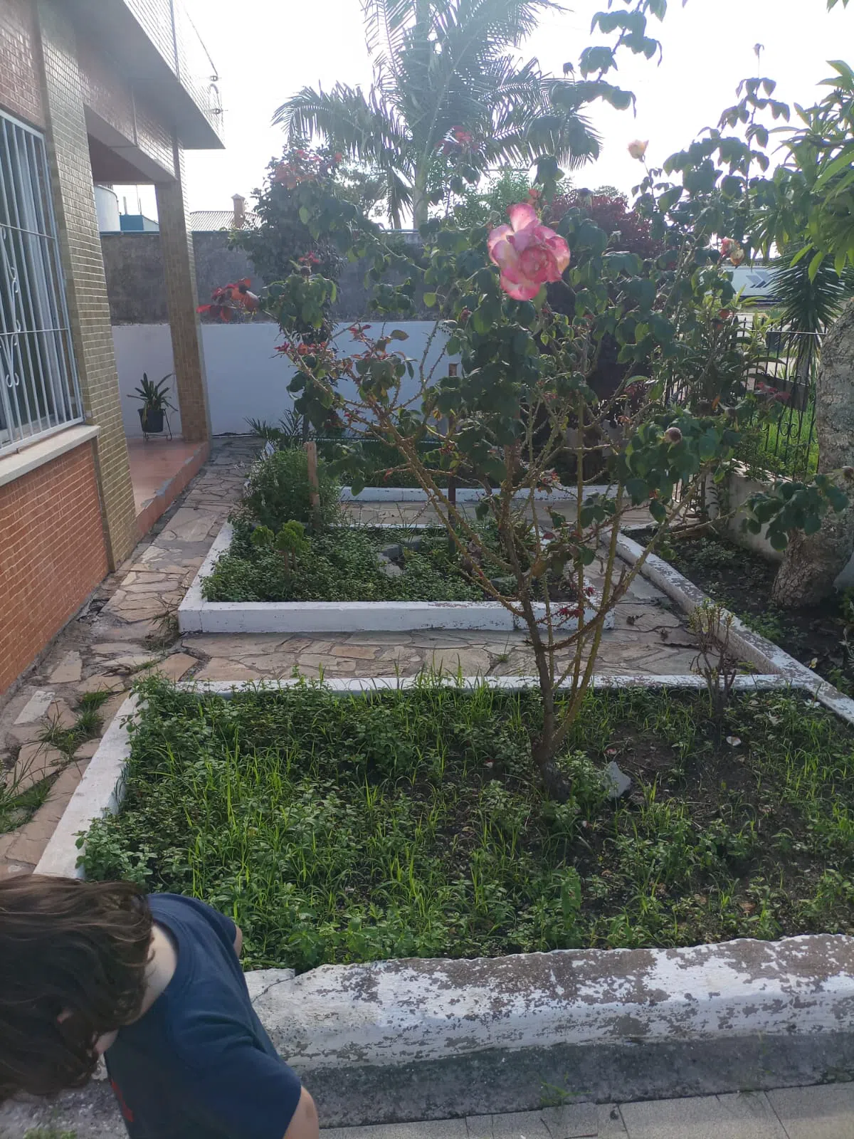 Foto 6